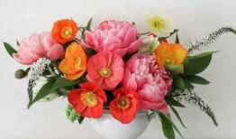 插花视频,跟随视频学习插花技巧